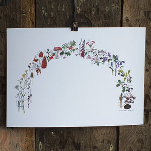 Woodland Rainbow print by Alice Draws the Line A3 print