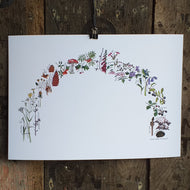 Woodland Rainbow print by Alice Draws the Line A3 print