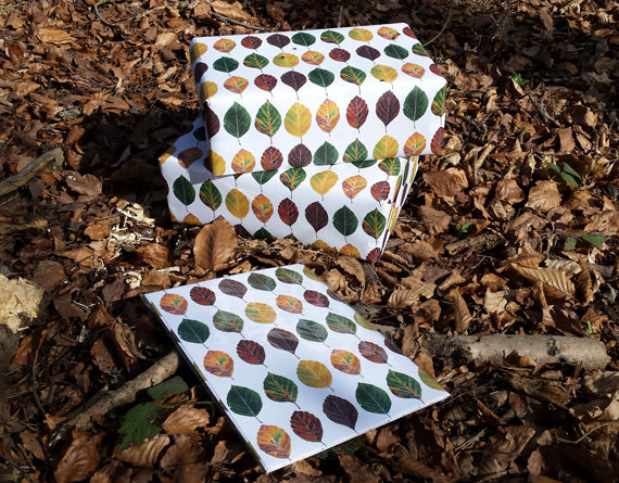 Gift wrap by Alice Draws The Line, recycled beech leaf wrapping paper by Alice Draws The Line