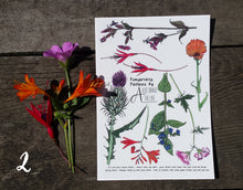 Load image into Gallery viewer, Botanical Flower tattoos by Alice Draws The Line