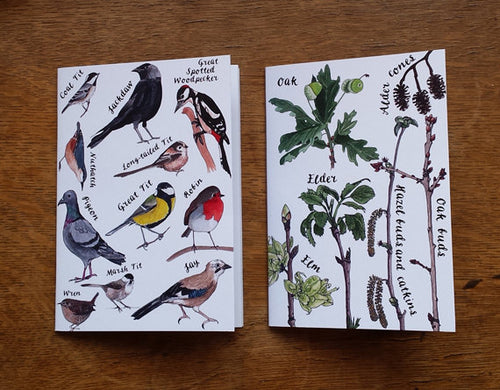 Nature Notebook 2 pack