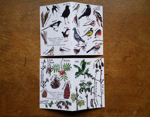 Nature Notebook 2 pack