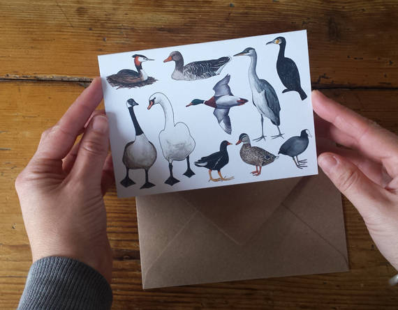 Ducks card by Alice Draws the Line, ducking good birthday card