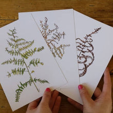Load image into Gallery viewer, Bracken prints by Alice Draws the Line, set of three A5 prints