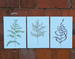 3 Bracken Art Prints