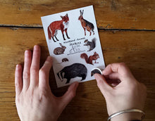 Load image into Gallery viewer, Woodland Animals Sticker sheets by Alice Draws The Line