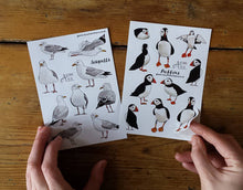 Load image into Gallery viewer, Seagull Sticker Sheets by Alice Draws The Line