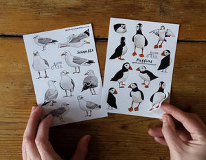 Seagull Sticker Sheets by Alice Draws The Line