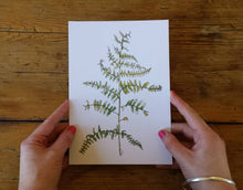 Load image into Gallery viewer, 3 Bracken Art Prints