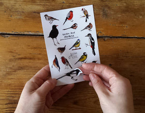 Garden bird sticker sheet by Alice Draws The Line, children's gift, stocking filler