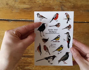 Garden bird sticker sheet by Alice Draws The Line, children's gift, stocking filler