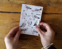 Load image into Gallery viewer, Seagull Sticker Sheets by Alice Draws The Line