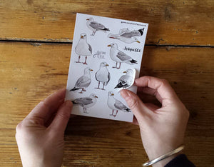 Seagull Sticker Sheets by Alice Draws The Line