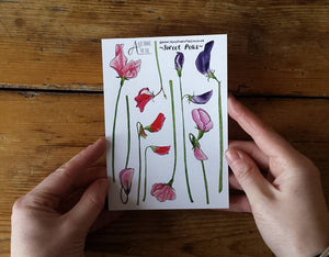 Sweet Pea sticker sheets