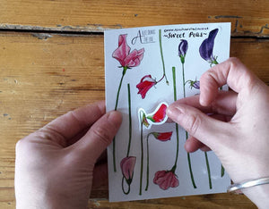 Sweet Pea sticker sheets