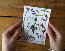 Load image into Gallery viewer, Woodland Flowers sticker sheet by Alice Draws The Line