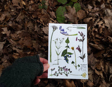 Load image into Gallery viewer, Woodland Flowers sticker sheet by Alice Draws The Line