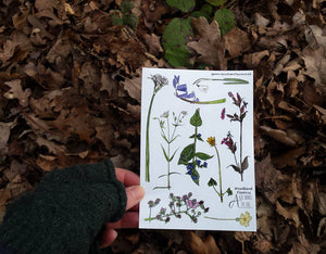 Woodland Flowers sticker sheet by Alice Draws The Line