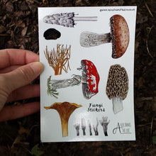Load image into Gallery viewer, Fungi stickers by Alice Draws the Line