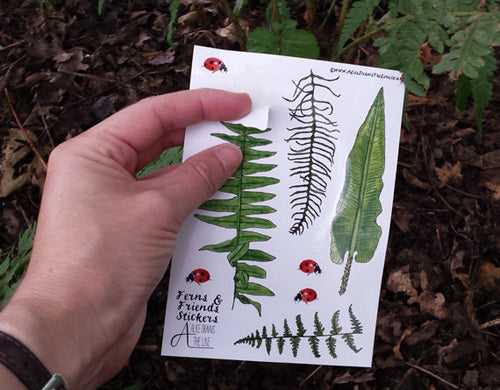 Fern, Bracken and Ladybird sticker sheets
