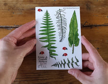 Load image into Gallery viewer, Fern, Bracken and Ladybird sticker sheets