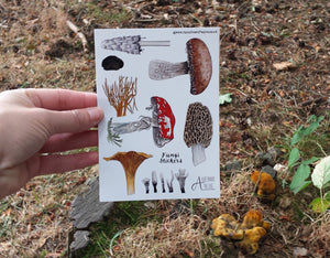 Fungi / Mushroom sticker sheets