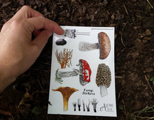 Load image into Gallery viewer, Fungi / Mushroom sticker sheets