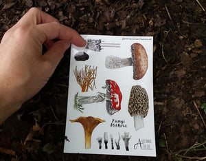 Fungi / Mushroom sticker sheets