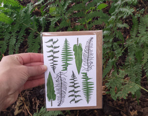 Ferns and Bracken Greeting Card