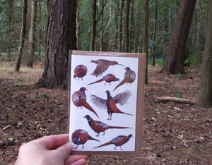 Pheasants Card by Alice Draws The Line