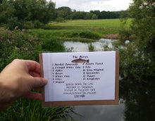 Load image into Gallery viewer, River species Greeting card with identification numbers and names on the back by Alice Draws The Line