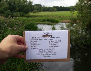 River species Greeting card with identification numbers and names on the back by Alice Draws The Line