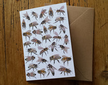 Load image into Gallery viewer, Honey Bee Greeting Card