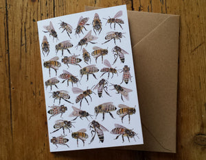 Honey Bee Greeting Card