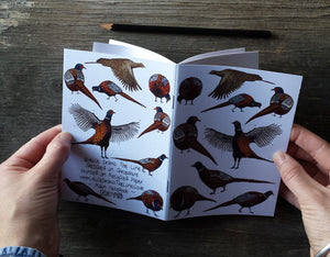 Pheasants Notebook by Alice Draws The Line, recycled paper, A6 paper