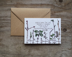 Woodland Wonders Card Collection by Alice Draws The Line