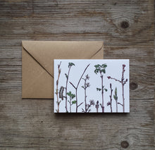 Load image into Gallery viewer, Woodland Wonders Card Collection by Alice Draws The Line