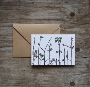 Woodland Wonders Card Collection by Alice Draws The Line