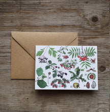 Load image into Gallery viewer, Woodland Wonders Card Collection by Alice Draws The Line
