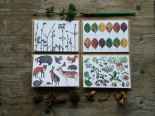 Load image into Gallery viewer, Woodland Wonders Card Collection by Alice Draws The Line