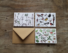 Load image into Gallery viewer, Flora and Fauna pack of 3 Greetings Cards