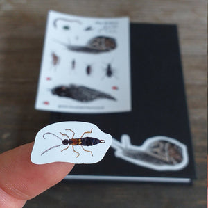 Bugs mini sticker sheet