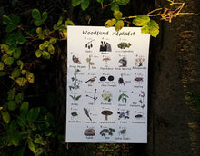 Load image into Gallery viewer, A3 Woodland Alphabet print