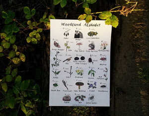 A3 Woodland Alphabet print