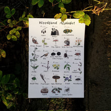 Load image into Gallery viewer, Woodland Alphabet print by Alice Draws the line, nursery print, classroom print