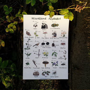 Woodland Alphabet print by Alice Draws the line, nursery print, classroom print