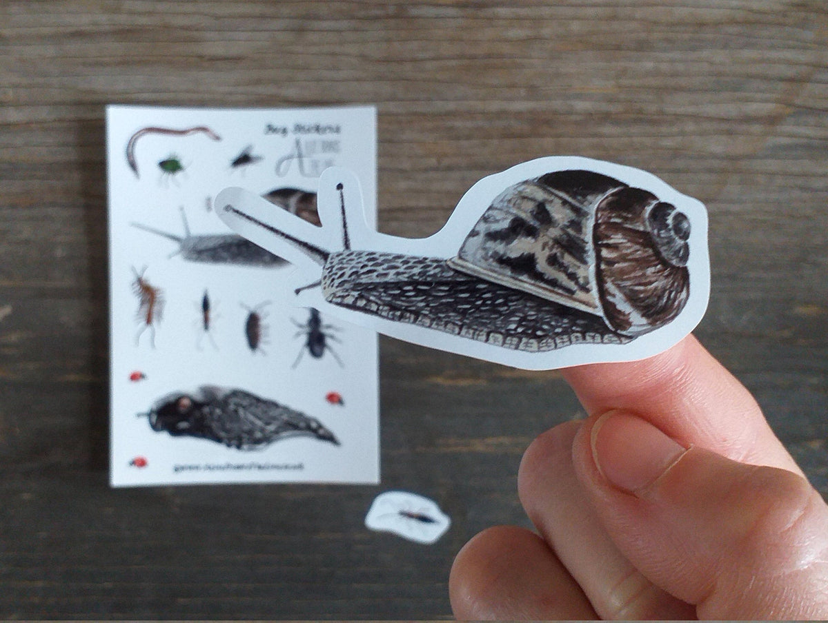 Bug Poster Sticker Bug stickers by Alice Draws The Line