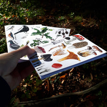 Load image into Gallery viewer, plain notebooks with garden birds, trees and fungi illustration covers by Alice Draws the Line