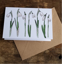 Load image into Gallery viewer, Spring Flowers Collection 3 greeting cards