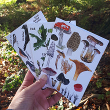 Load image into Gallery viewer, A6 nature illustration notebooks by Alice Draws the Line